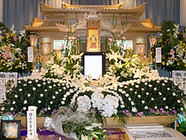 サンプル