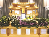 サンプル