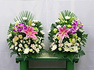 祭壇花